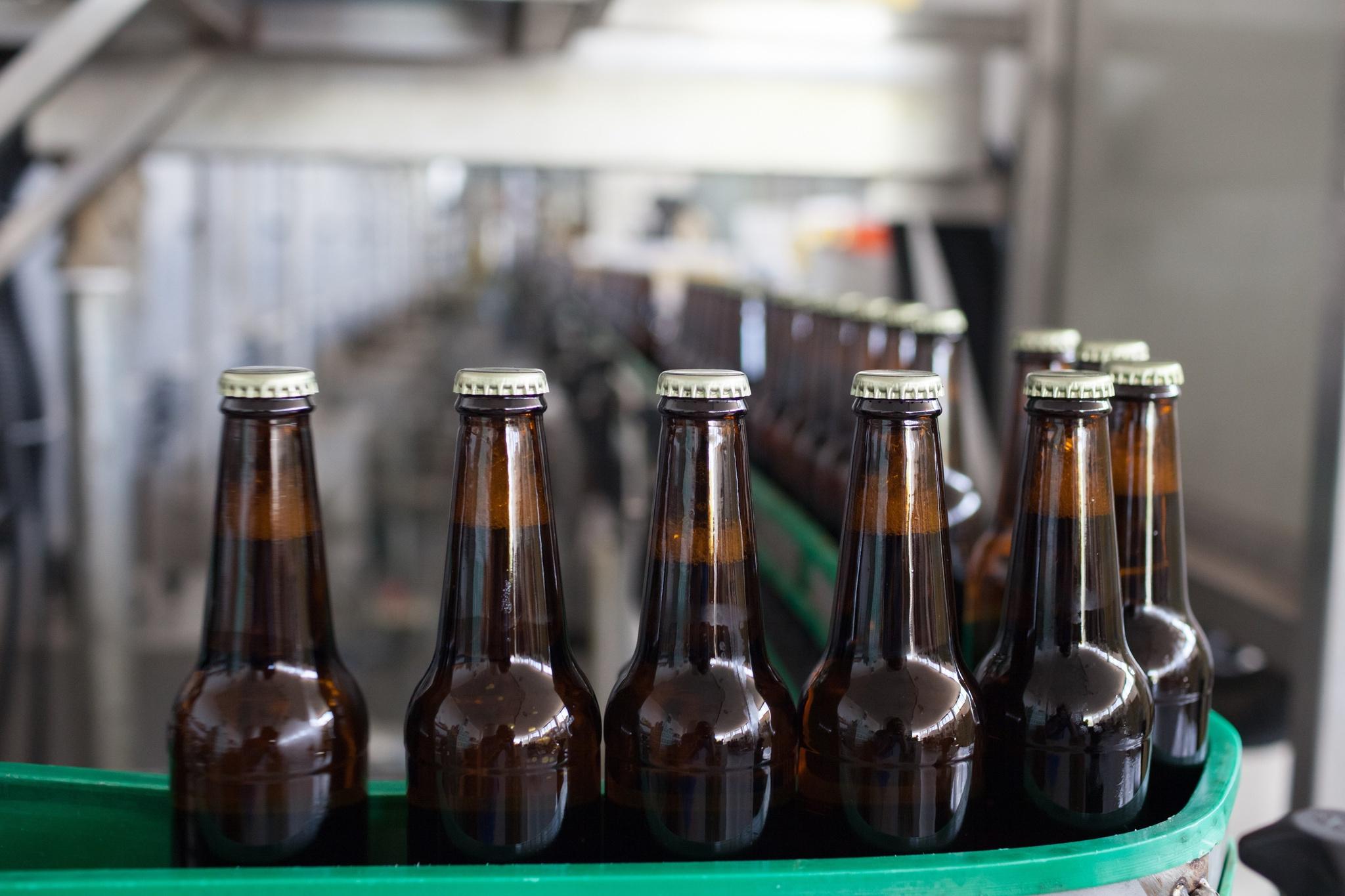Brown glass beer bottles with caps moving along a green conveyor belt in a brewery.
